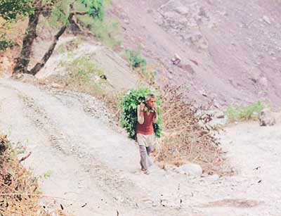Photo by J.K. Chauhan
