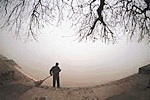 The reality of existence turns into an illusion as the morning fog spreads its wings over the Sukhna.
