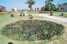Workers of the Municipal Corporation give finishing touches to the " Garden of Annuals" in Sector 44 of Chandigarh on Wednesday.