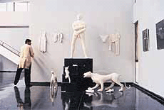 An installation that was arranged by Viren, an artist from the region, 10 years ago at Panjab Universitys Museum of Fine Arts. 