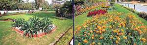 The garden of the AG Punjab 