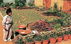 An artistically laid-out garden