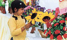 A young visitor admires an entry at the Annual Flower and Baby Show held at Baradari Gardens in Patiala on Wednesday