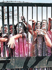 Revellers of Government Home Science College, Chandigarh, try to reach out to passers-by.