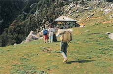 Green meadows at Triund