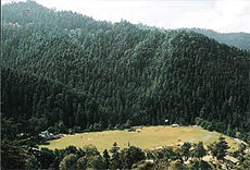 A view of Annandale in Shimla