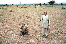 Farmers recall last years woes in drought-hit fields in Kalka on Monday.