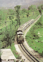The track in the Kangra valley passes over more than 950 bridges 