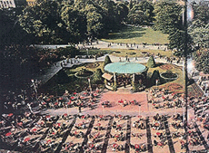 Philharmonic Orchestra in Vienna