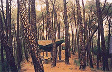 Raja Dharam Chand Katoch of Kangra hill state (1528-1563) founded Dharamsala as a hill station