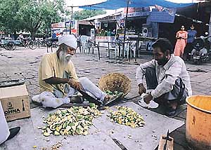 photo by Pradeep Tewari