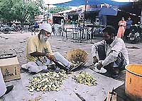 photo by Pradeep Tewari
