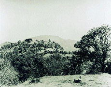 Peterhoff (1880)