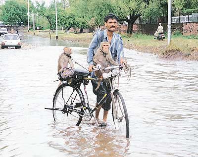photo by Pankaj Sharma