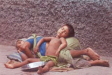 Motherly bliss -- A child with mother in a deep sleep in a Kolkata pavement on Saturday.