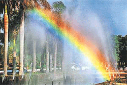 Artificial rain and natural colours captured by Tribune lensman Karam Singh near Student Centre, Panjab University, Chandigarh, on Wednesday. 