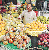 Unsold melons