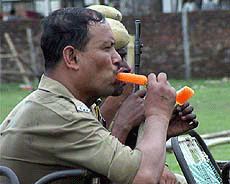 Policemen in Nalbari district of Assam beat the heat with ice candies.