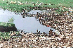 This is the Sutlej, choked by polythene bags that people throw into it. 
