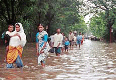 Residents of harbour area wading through knee-deep water after heavy rain disrupt city life in Mumbai on Friday. 