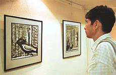 A visitor admires a painting at an exhibition in IndusInd Art Gallery, Chandigarh, on Thursday. 