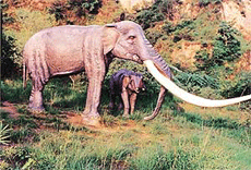 Giant elephants with 10-foot-long tusks inhabited the Shivalik hills about 2.5 million years ago