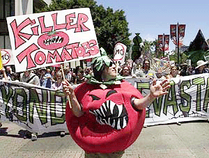 A protester dressed as a genetically altered "Killer Tomato" marches through downtown San Diego on Sunday, en route to the Convention Centre.