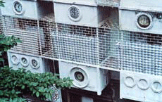 Ghariwali Kothi  Clocks on the wall of a central Kolkata house display timings of various countries. 