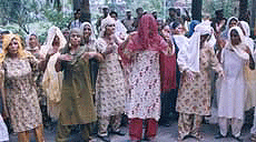 BSP activists beating their chest as a mark of protest over the Segta deaths case in front of the DC office in Ambala on Monday. 