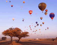 Hot air balloons fly over a tree during the 2nd World Air Games (WAG) in Seville on Friday.