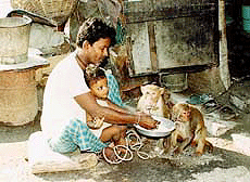 Sharing the meal with pet monkeys. The daily scene of a nomadic life in Kolkata on Friday.