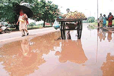 Mangoes and monsoons go together.