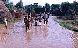 Flood water from Begna river inundates Gola village in Ambala on Tuesday. 