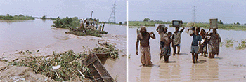 A 60-foot breach in a bank of the Ghaggar near Gulard village in Samana subdivision has caused flooding in the area, forcing villagers to move their belongings to dry areas.