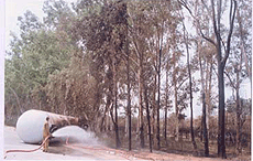 Impact of fire on nearby trees. A fireman trying to control leakage from the LPG oil tanker which overturned near Baburpur, near Panipat, on National highway No.1. 