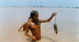 Boys show a mouse caught from the flood waters.
