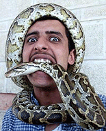 Mamoun al-Shariri, 20, holds a three-meter-long snake outside his store in Amman on Monday.