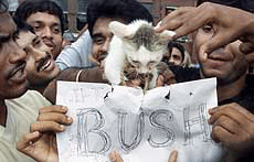 Activists of the Student Federation of India hold a cat who has been officially named "George Bush" in Kolkata on Monday.