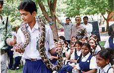 Students of various schools in the city at a snake show