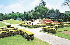 A view of Shanti Kunj in Sector 16 of Chandigarh. 
