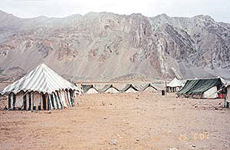 Temporary tents at Sarchu