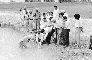 Fatehgarh tops in introducing duckweed technology