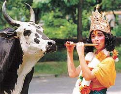 A young boy dressed as Lord Krishna stands beside a cow.
