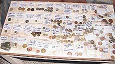 A glimpse of Kamaldeep’s treasure, which he has stored in polythene pouches.