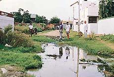 One of the many sewage-affected streets in Chaudhary Colony of Bassi Pathana town.
