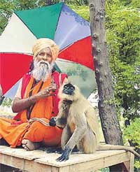 Gulzari Lal with his only companion Rani.