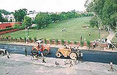 An overview of the greenbelt developed by the Municipal Corporation in Sector 30, Chandigarh. 