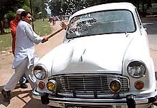 NDA supporter 