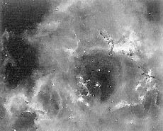 The Rosette Nebula and NGC 2244 Cluster