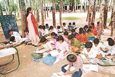 A primary class being held in the open at Samlehri school at Raipur Rani block in Panchkula on Thursday. 